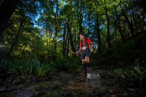 BIB: 
                            <button type="button" onclick="openModal(19240113)" class="btn btn-primary btn-sm float-right btn-popup" data-toggle="modal" data-target=".modal-high-quality">
                        <i class="fas fa-shopping-cart"></i> Add to Cart
                    </button>
                                            <button type="button" onclick="isThisMe(19240113, true)" class="btn btn-success btn-sm float-right btn-popup btn-isme hidden" data-toggle="tooltip" data-placement="bottom" title="นี่คือรูปของคุณใช่ไหม คลิกที่นี่เพื่อเอาเข้าอัลบั้ม">
                        <i class="fas fa-plus"></i> Add to album
                    </button>
                    <button type="button" onclick="isThisMe(19240113, false)" class="btn btn-warning btn-sm float-right btn-popup btn-isnotme hidden">
                        <i class="fas fa-ban"></i> Remove from album
                    </button>